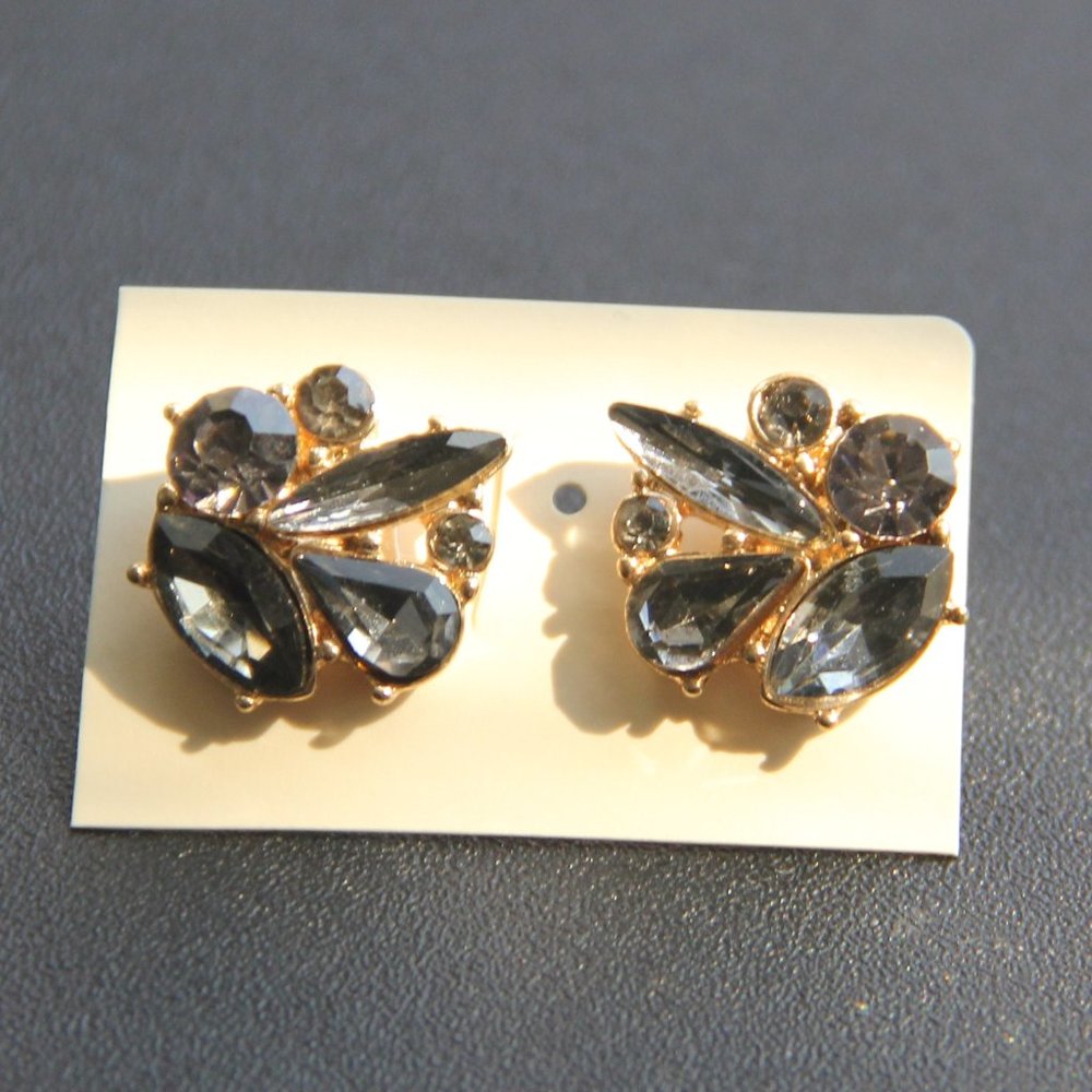 Fashion earrings